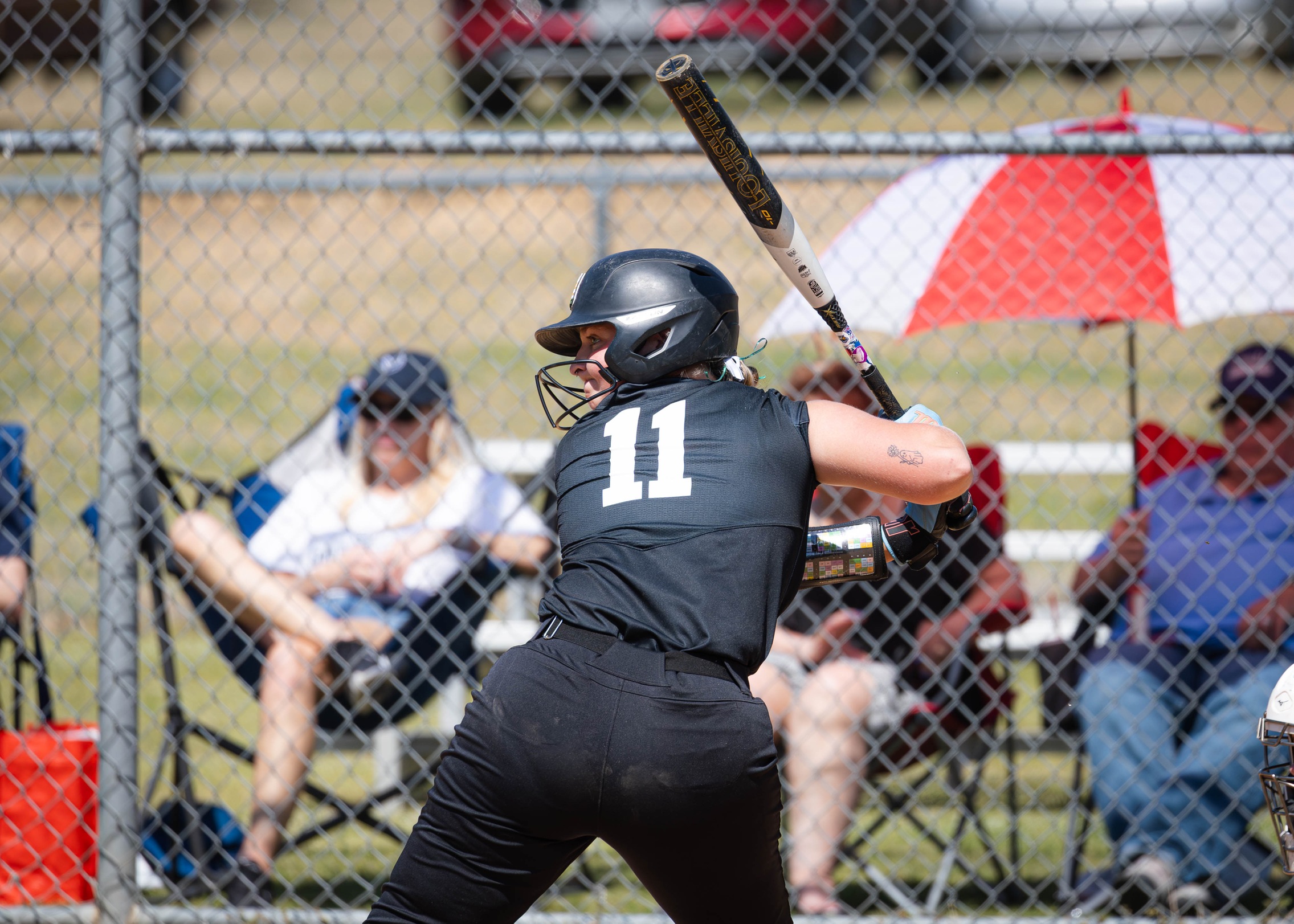 Tarrants Bashes Three Homers as Pioneers Fall in Springfield